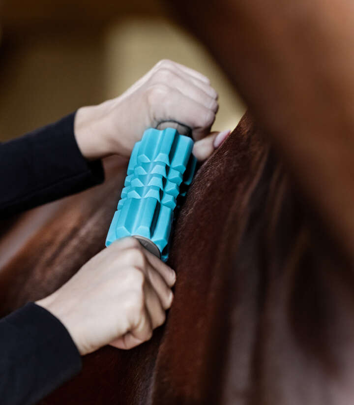 WALDHAUSEN Health + Care Faszien Fit